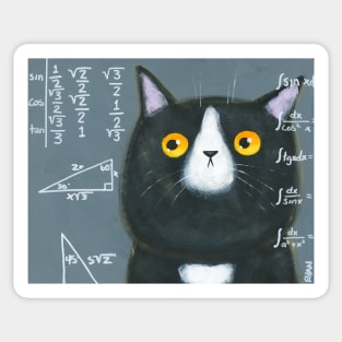 Maths Cat Sticker